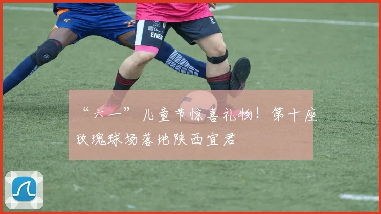 “六一”儿童节惊喜礼物!第十座玫瑰球场落地陕西宜君