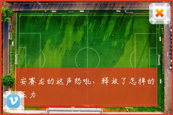 安赛龙的这声怒吼，释放了怎样的压力