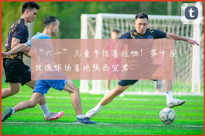 “六一”儿童节惊喜礼物!第十座玫瑰球场落地陕西宜君