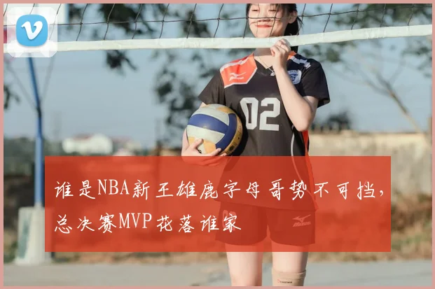 谁是NBA新王雄鹿字母哥势不可挡，总决赛MVP花落谁家