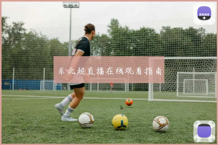 东北超直播在线观看指南