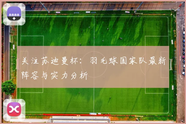 关注苏迪曼杯：羽毛球国家队最新阵容与实力分析