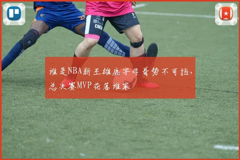 谁是NBA新王雄鹿字母哥势不可挡，总决赛MVP花落谁家