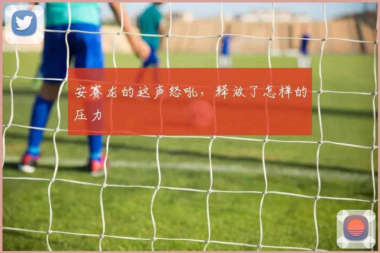 安赛龙的这声怒吼，释放了怎样的压力