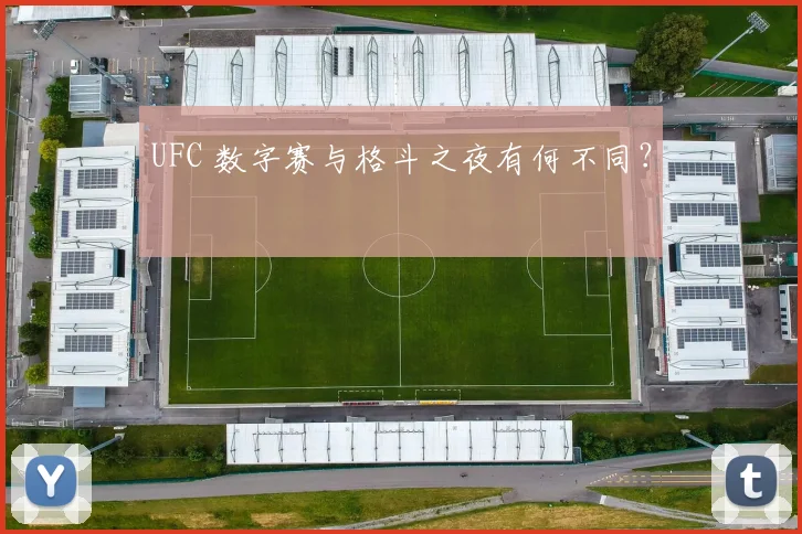 UFC 数字赛与格斗之夜有何不同？
