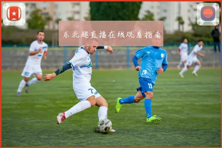 东北超直播在线观看指南