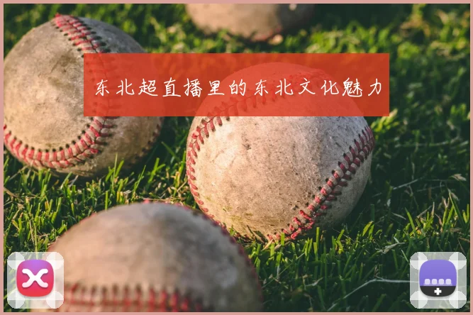 东北超直播里的东北文化魅力