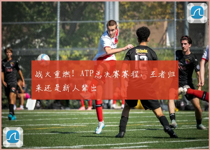 战火重燃！ATP总决赛赛程，王者归来还是新人辈出